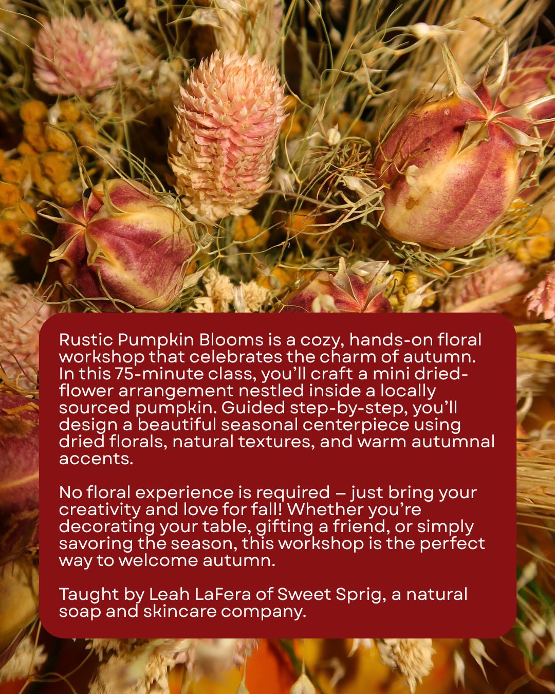 Rustic Pumpkin Blooms