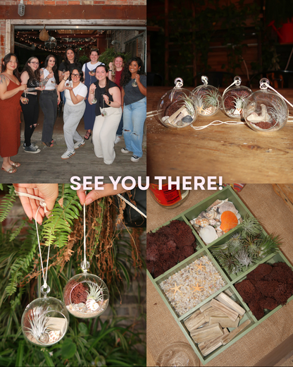 Seaside Plant & Sip (Schenectady 7/9)