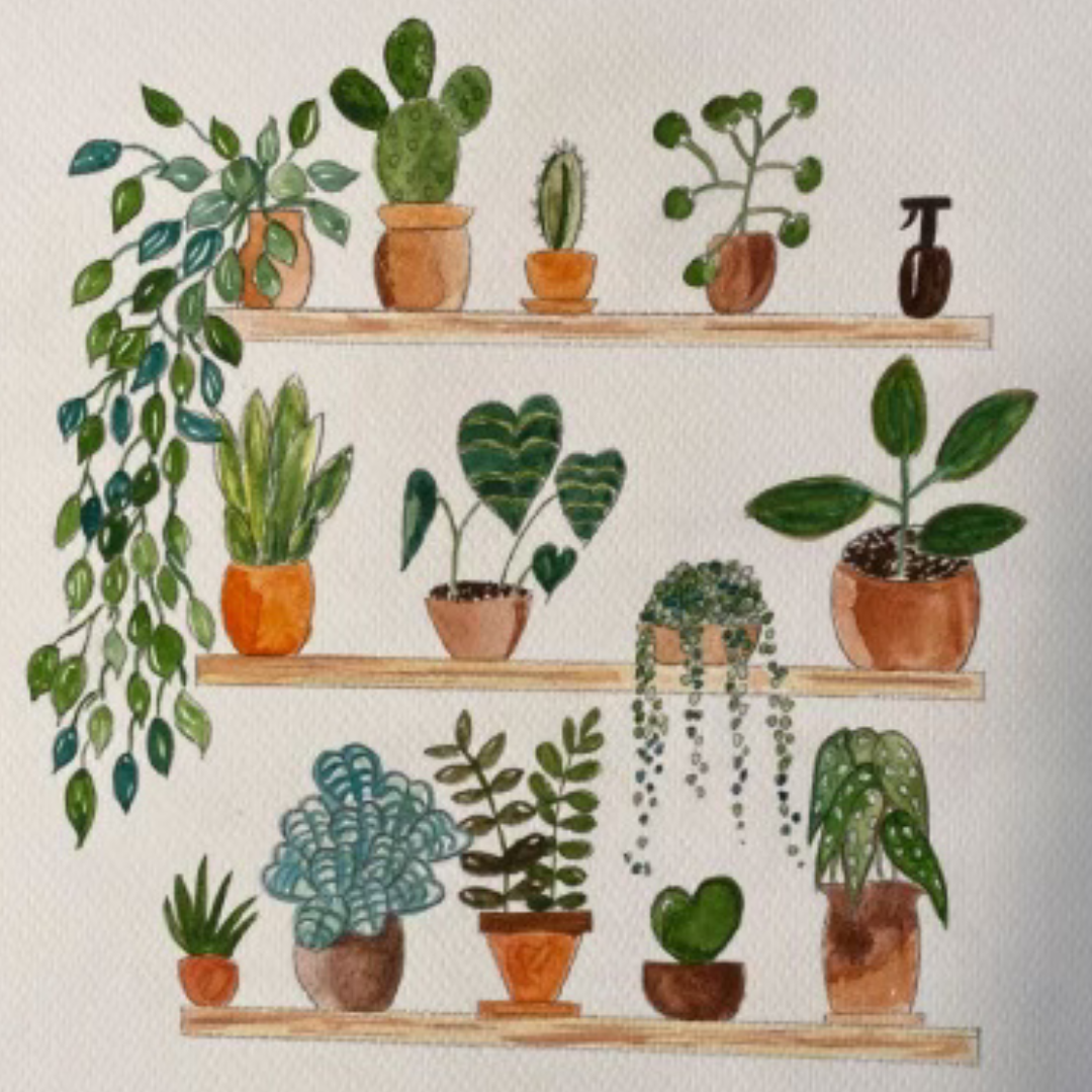 house plant watercolor Watercolor Paint & Sip