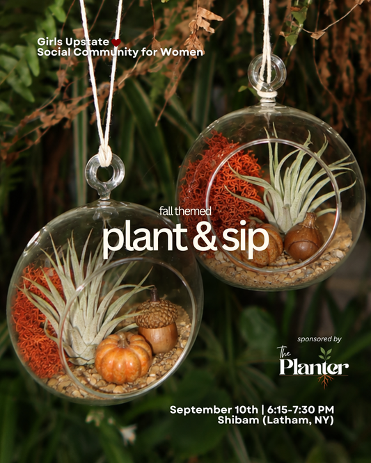 Plant & Sip (Albany 9/10)