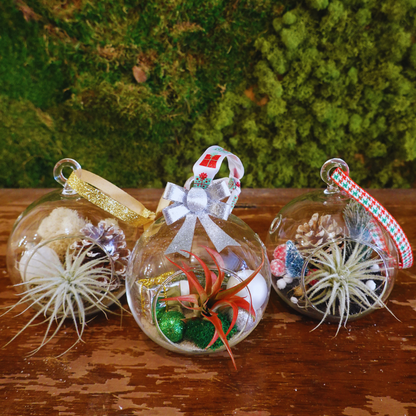 Holiday Ornaments - Craft & Sip