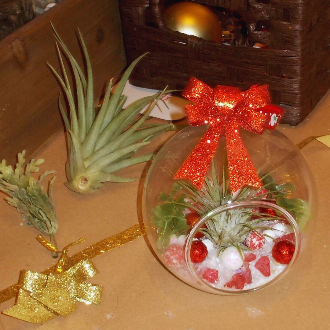 Holiday Ornaments - Craft & Sip