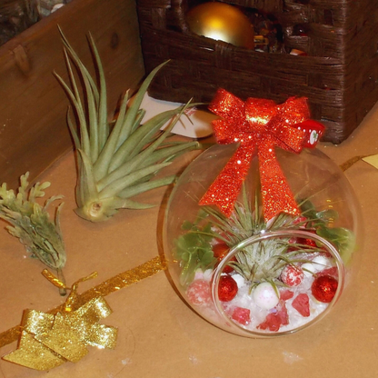 Holiday Ornaments - Craft & Sip